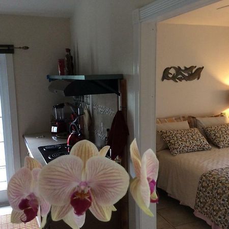 Mediteranean Style Ohana Rental / Garden Bungalow In Pahoa Honolulu Landing Eksteriør bilde