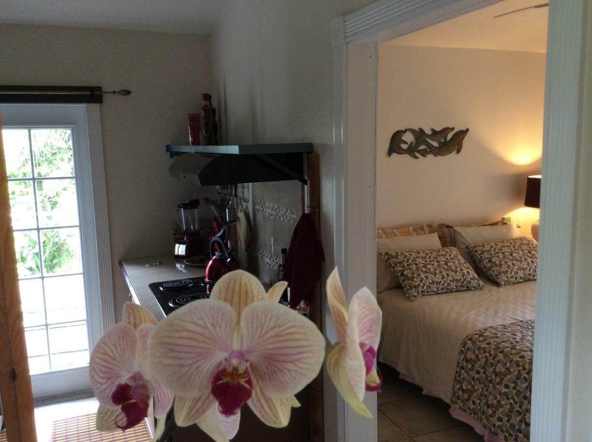 Mediteranean Style Ohana Rental / Garden Bungalow In Pahoa Honolulu Landing Eksteriør bilde