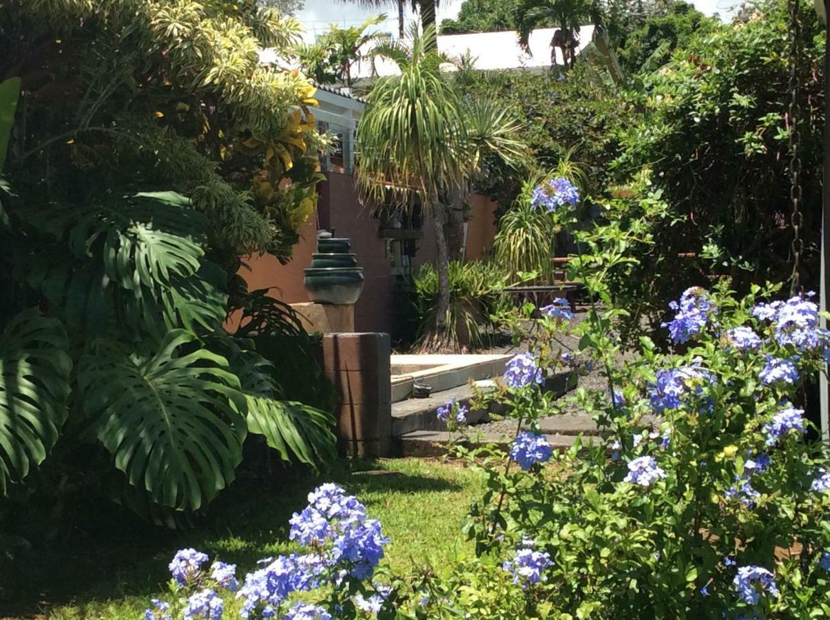 Mediteranean Style Ohana Rental / Garden Bungalow In Pahoa Honolulu Landing Eksteriør bilde